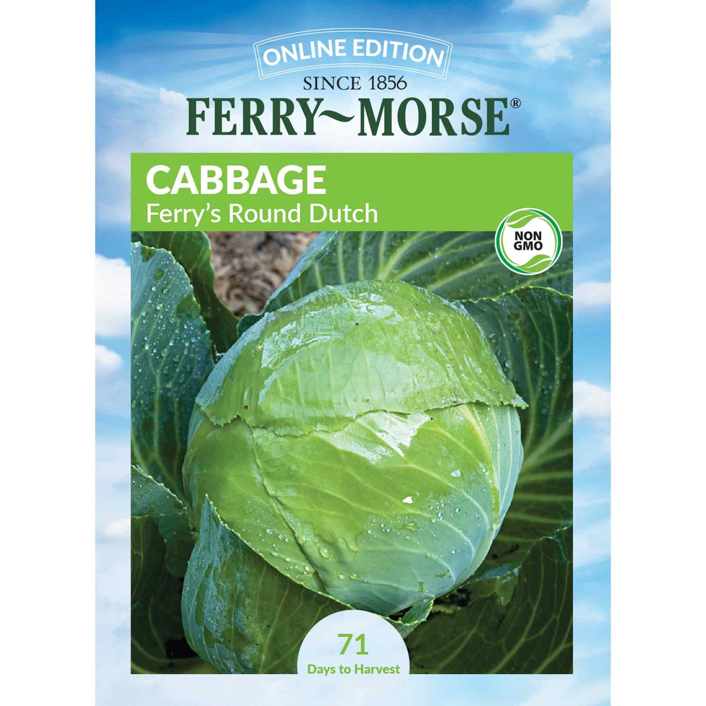 Cabbage, Ferry's Round Dutch Seeds Online Edition