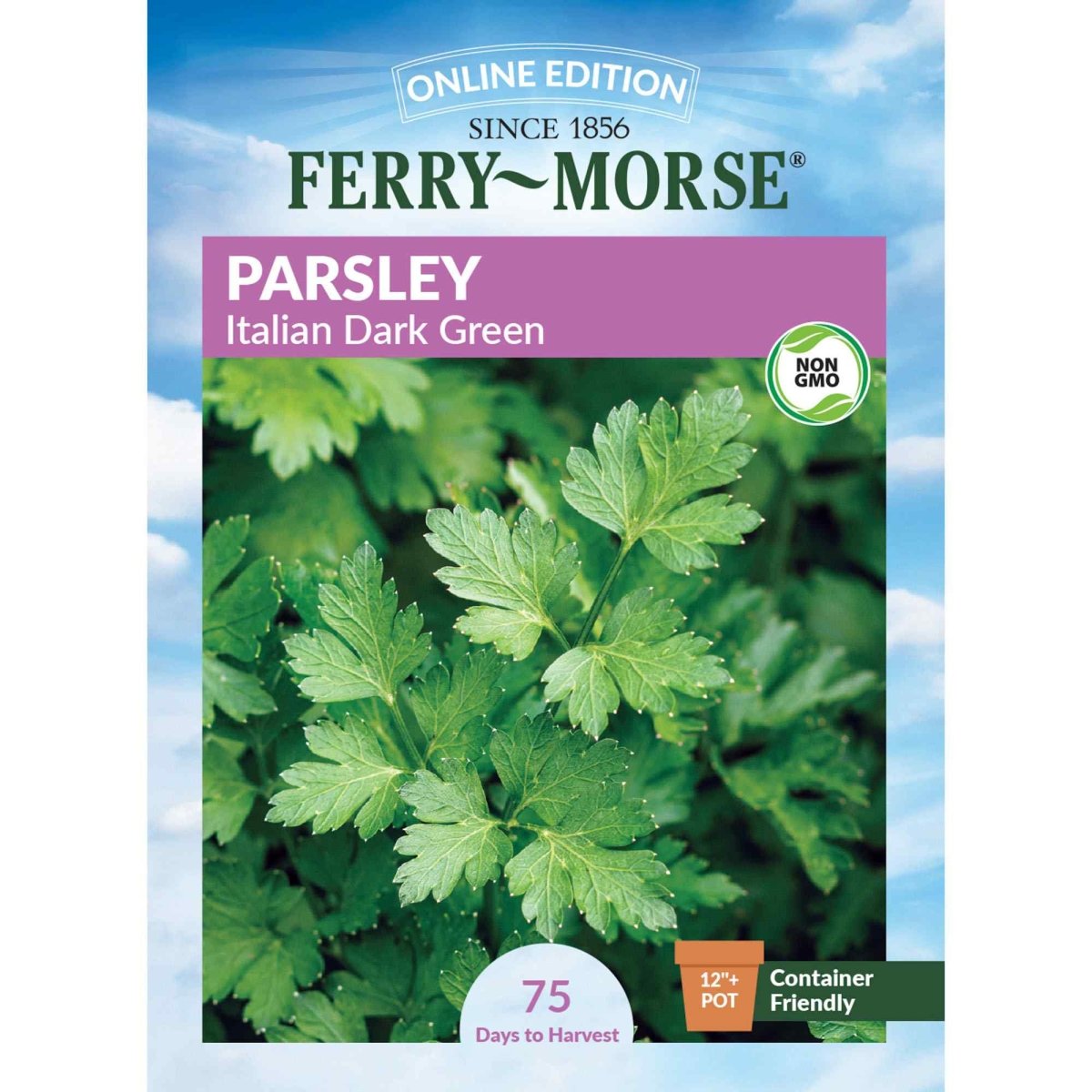 Ferry-Morse Flat Italian Parsley Seeds - Thumbnail 2