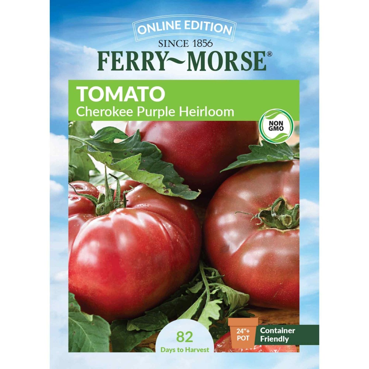 スカーレットベリ子 Cherokee Purple Tomato Seeds | Heirloom Tomato | Vegetable Garden