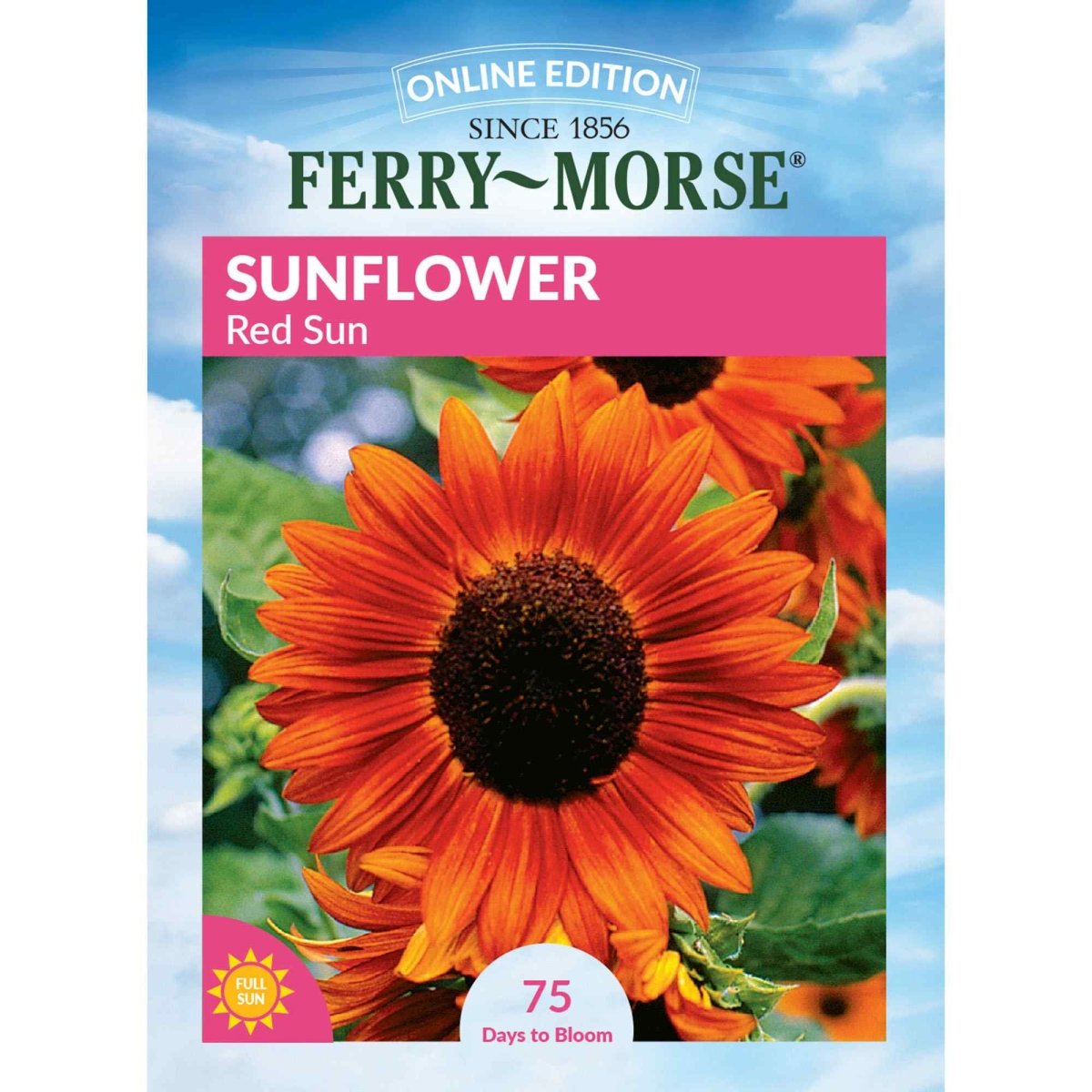 sunflower seeds to plant home depot Ferry-Morse Sunflower Seeds 1.8 Gram(s)