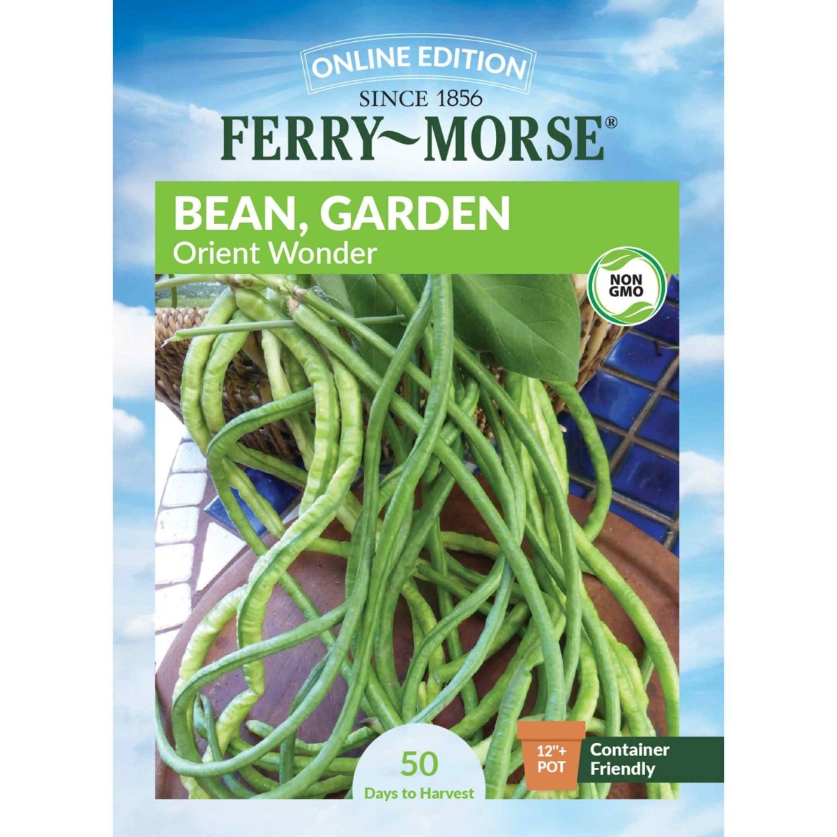 garden beans seeds Bean Orient Wonder Seeds | Vegetable Garden | Non-GMO