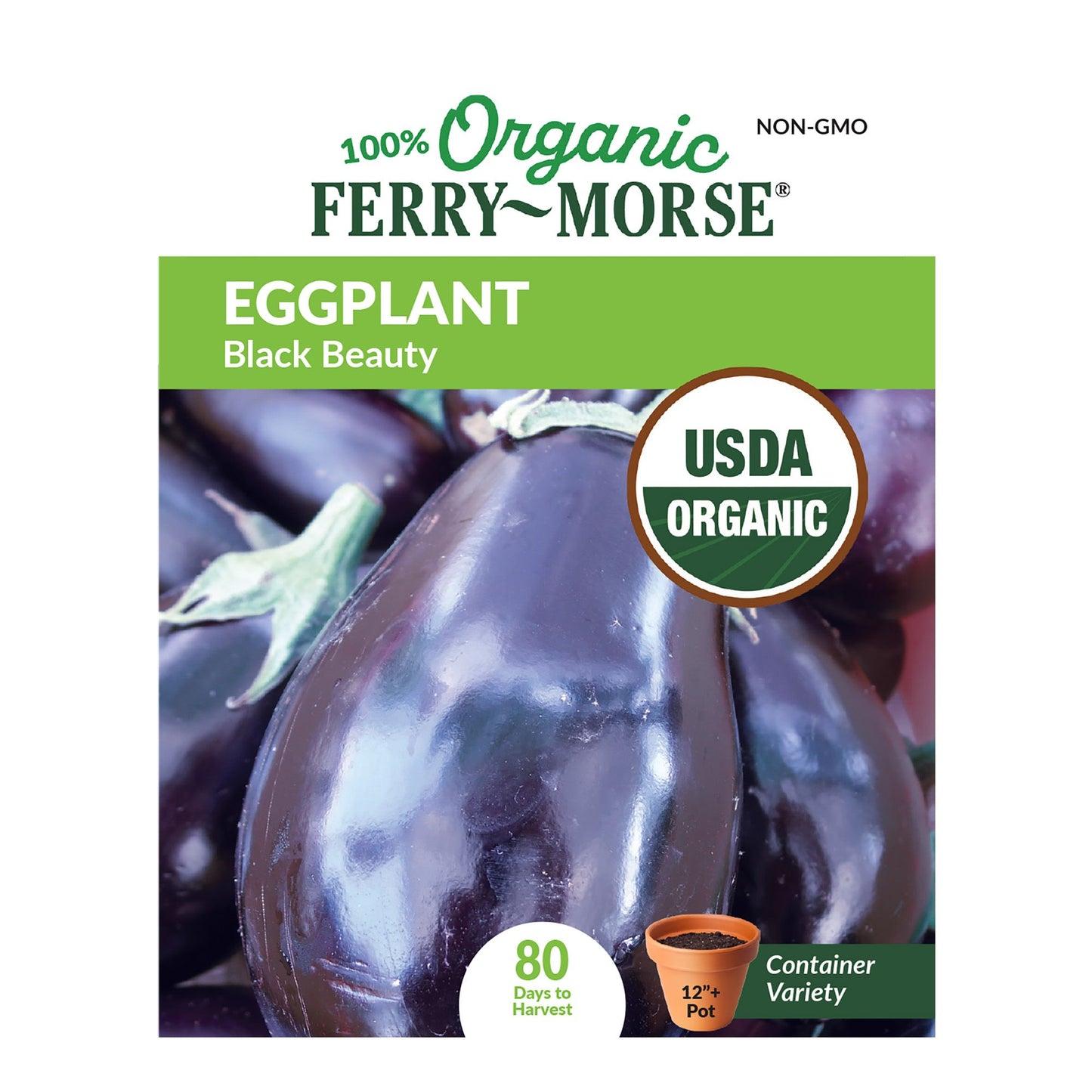 Eggplant, Black Beauty Organic Seeds