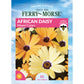 African Daisy, Mixed Colors Seeds Online Edition