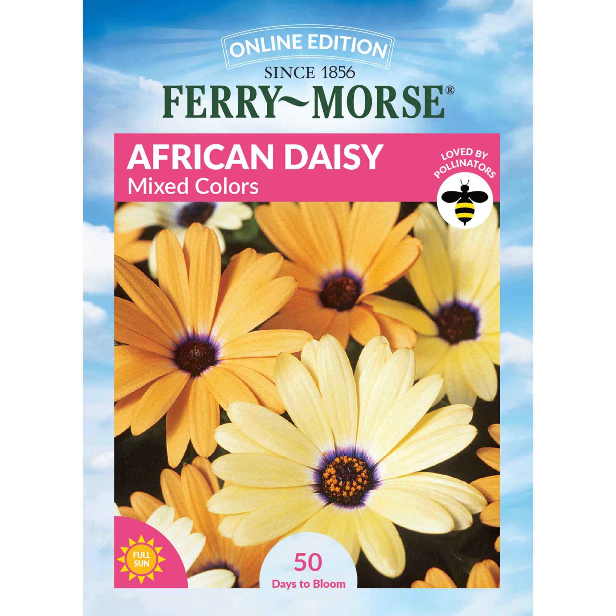 African Daisy Mixed Colors Front of Seed Packet