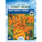 Asclepias Tuberosa, Butterfly Weed Seeds Online Edition