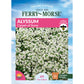 Alyssum, Carpet of Snow Seeds Online Edition