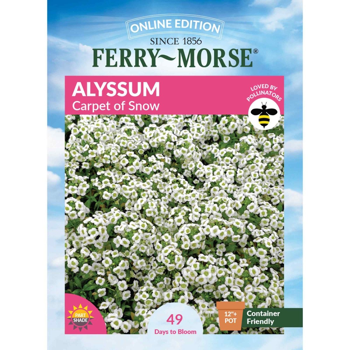 alyssum seed to flower time Alyssum, Carpet of Snow Seeds, 400mg