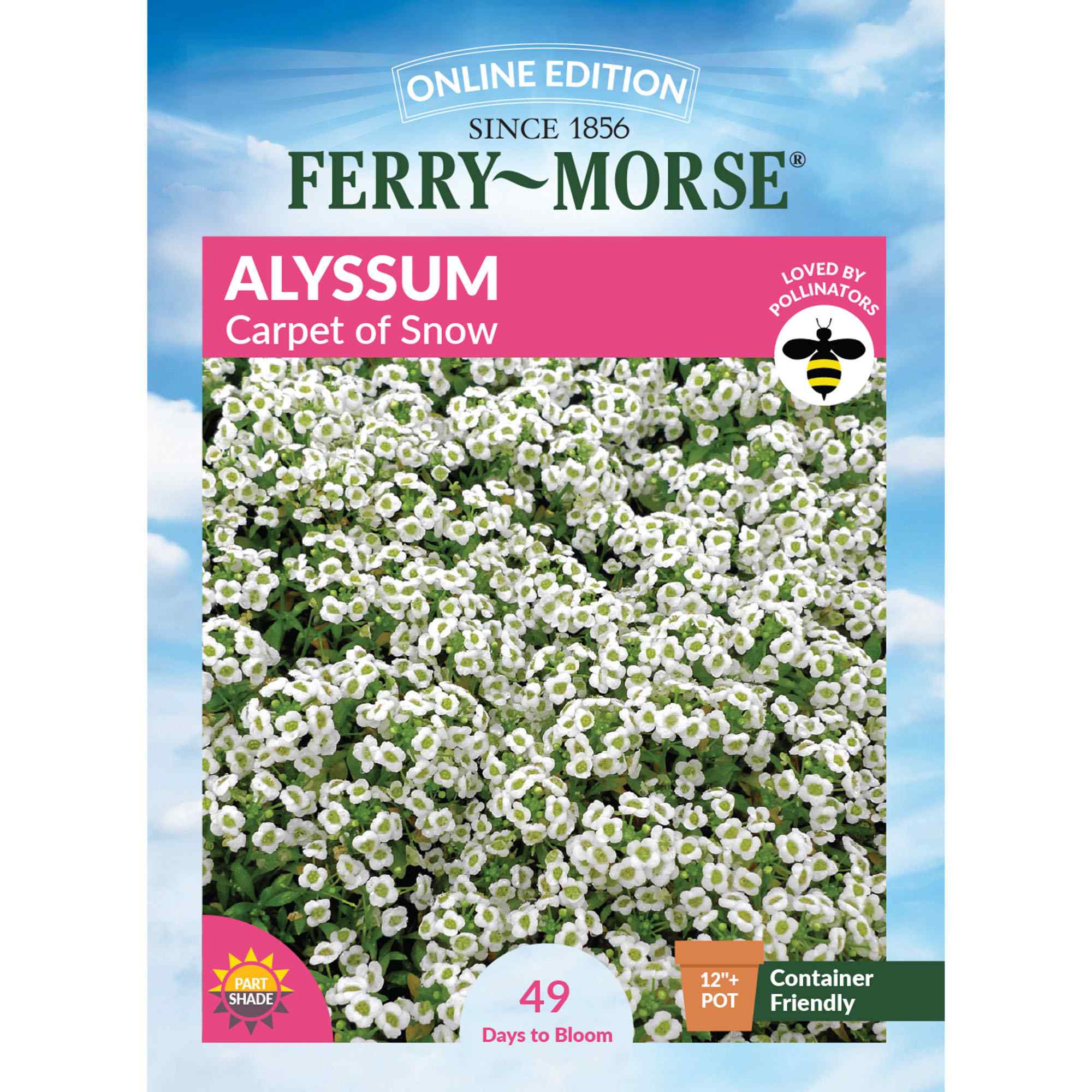 Alyssum Carpet of Snow Front of Packaging