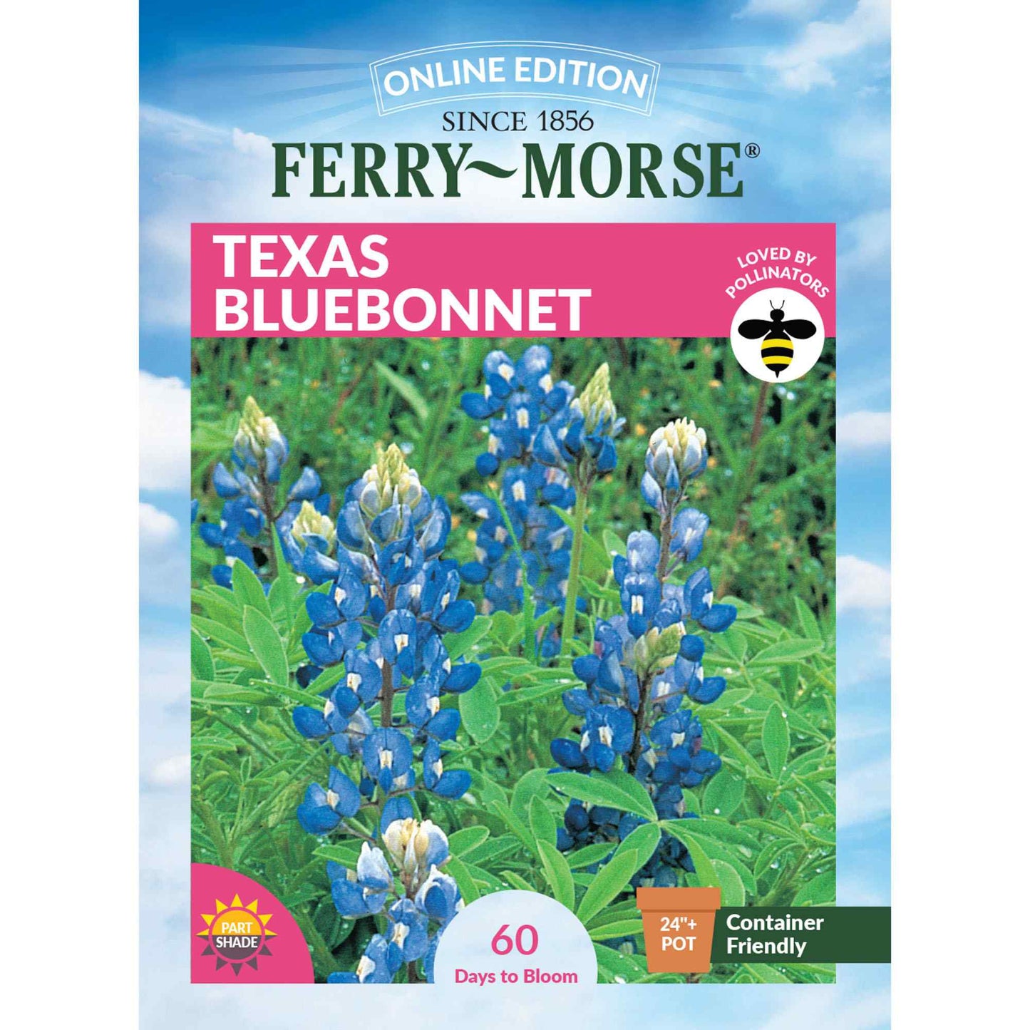 Texas Bluebonnet Seeds