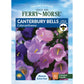 Canterbury Bells, Calycanthema Seeds Online Edition