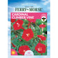 Cardinal Climber Vine Seeds Online Edition