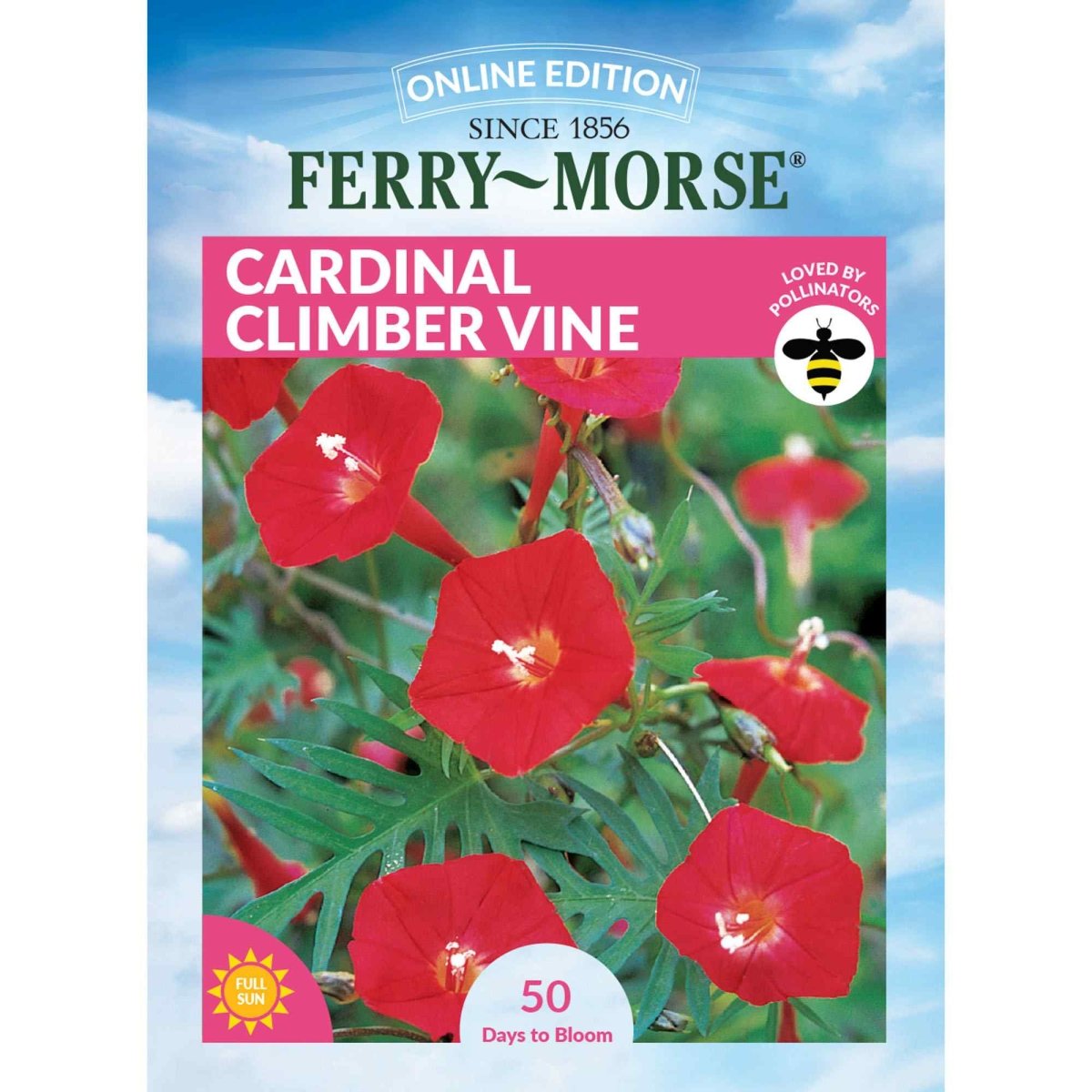 seeds for climbing plants Cardinal Climber Vine Seeds 1g from Ferry-Morse Seeds