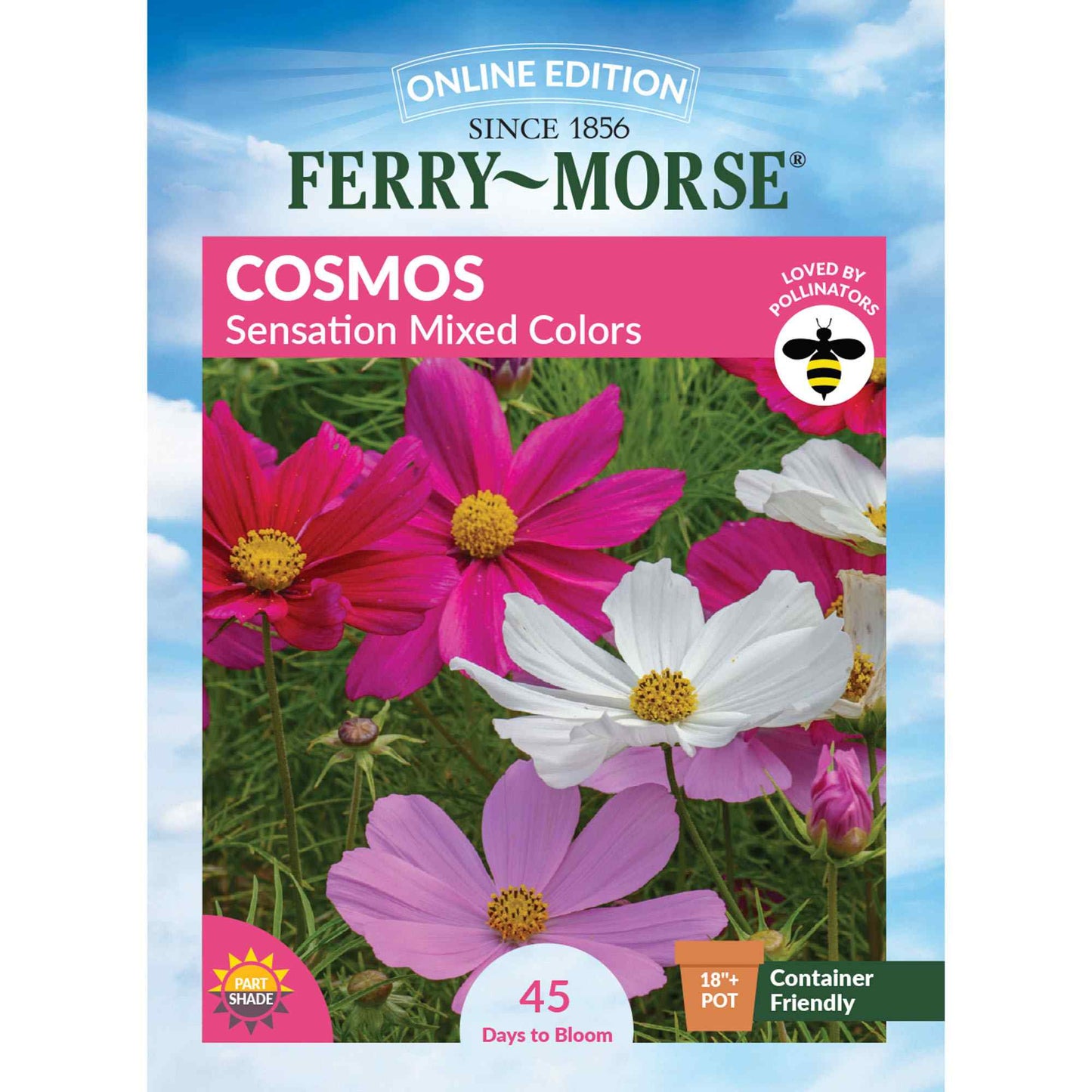 Cosmos, Sensation Mixed Colors Seeds Online Edition