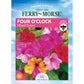 Four O'Clock, Mixed Colors Seeds Online Edition