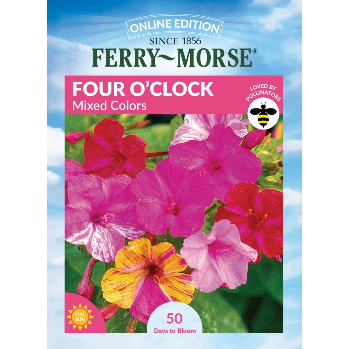 10 o'clock flower seeds Ferry-Morse Four O'Clock Seeds 4.4 Gram(s)
