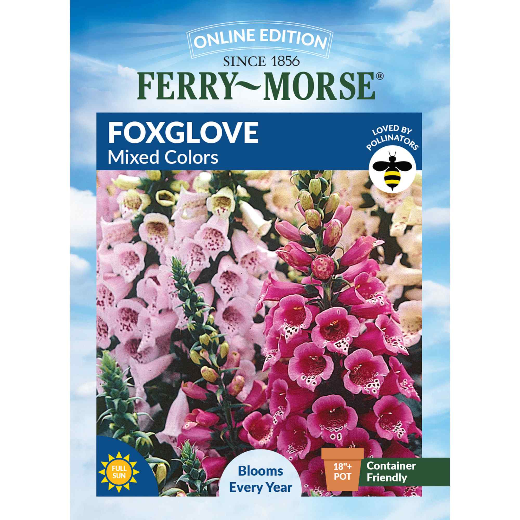 Foxglove, Mixed Colors Seeds | Perennial Flower Garden
