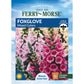 Foxglove, Mixed Colors Seeds Online Edition
