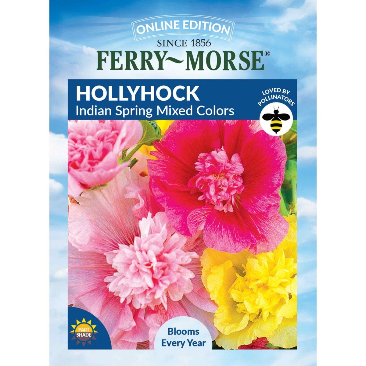 Hollyhock, Indian Spring Mixed Colors Seeds | English Cottage