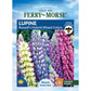 Lupine, Russell's Hybrid Mixed Colors Seeds Online Edition