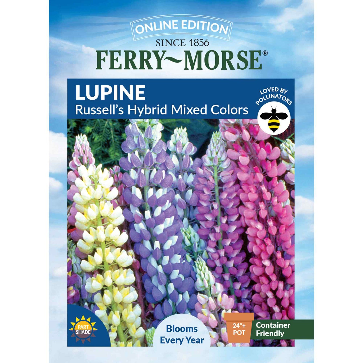 Lupine, Russell's Hybrid Mixed Colors Seeds