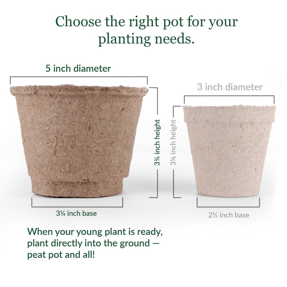 Jiffy - Pots, 5 inch Peat Pots - Ferry - Morse