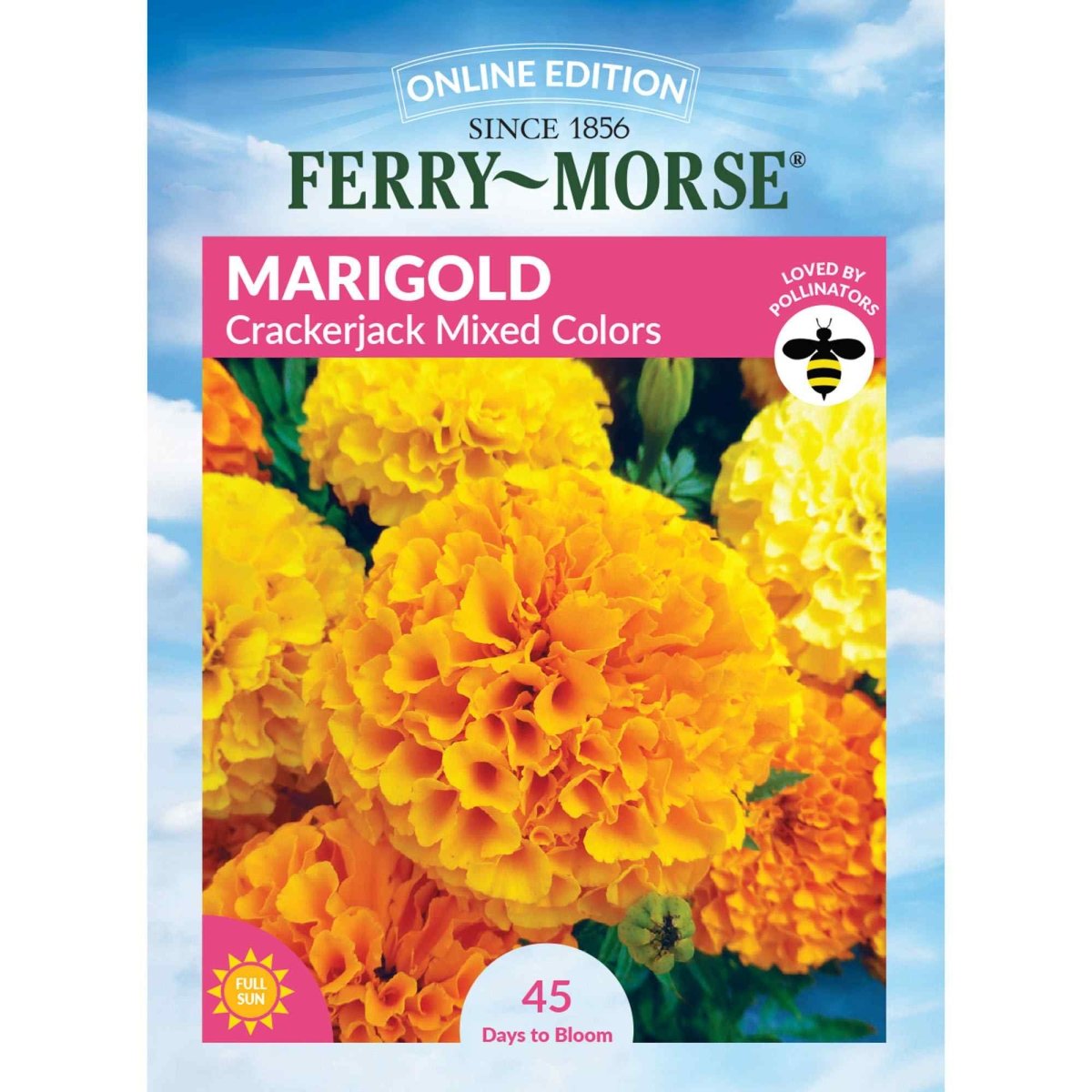画材 marigolds Marigold, Crackerjack Mixed Colors Seeds | Annual Flowers – Ferry