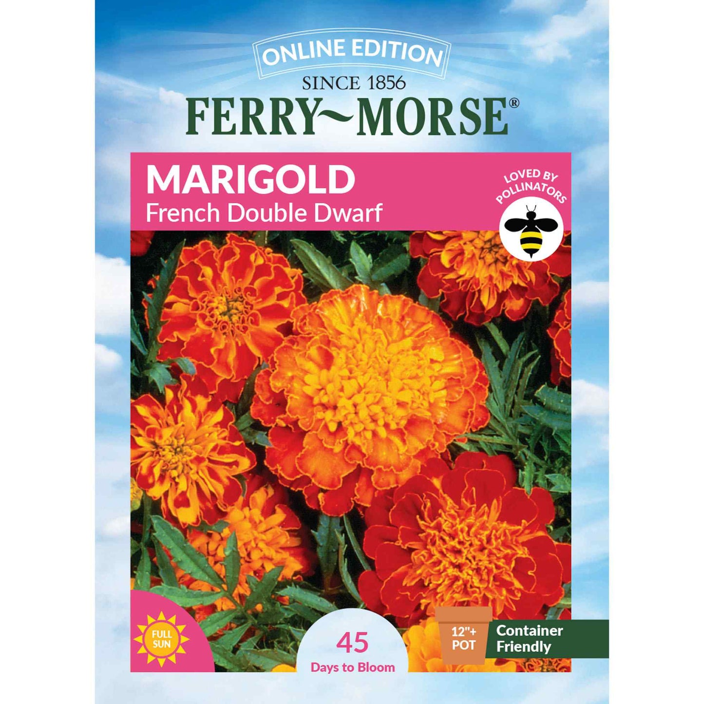 Marigold, French Double Dwarf Seeds