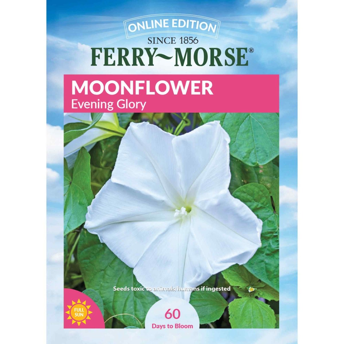 morning glory seeds dangerous Moonflower, Evening Glory Seeds, 2.6g