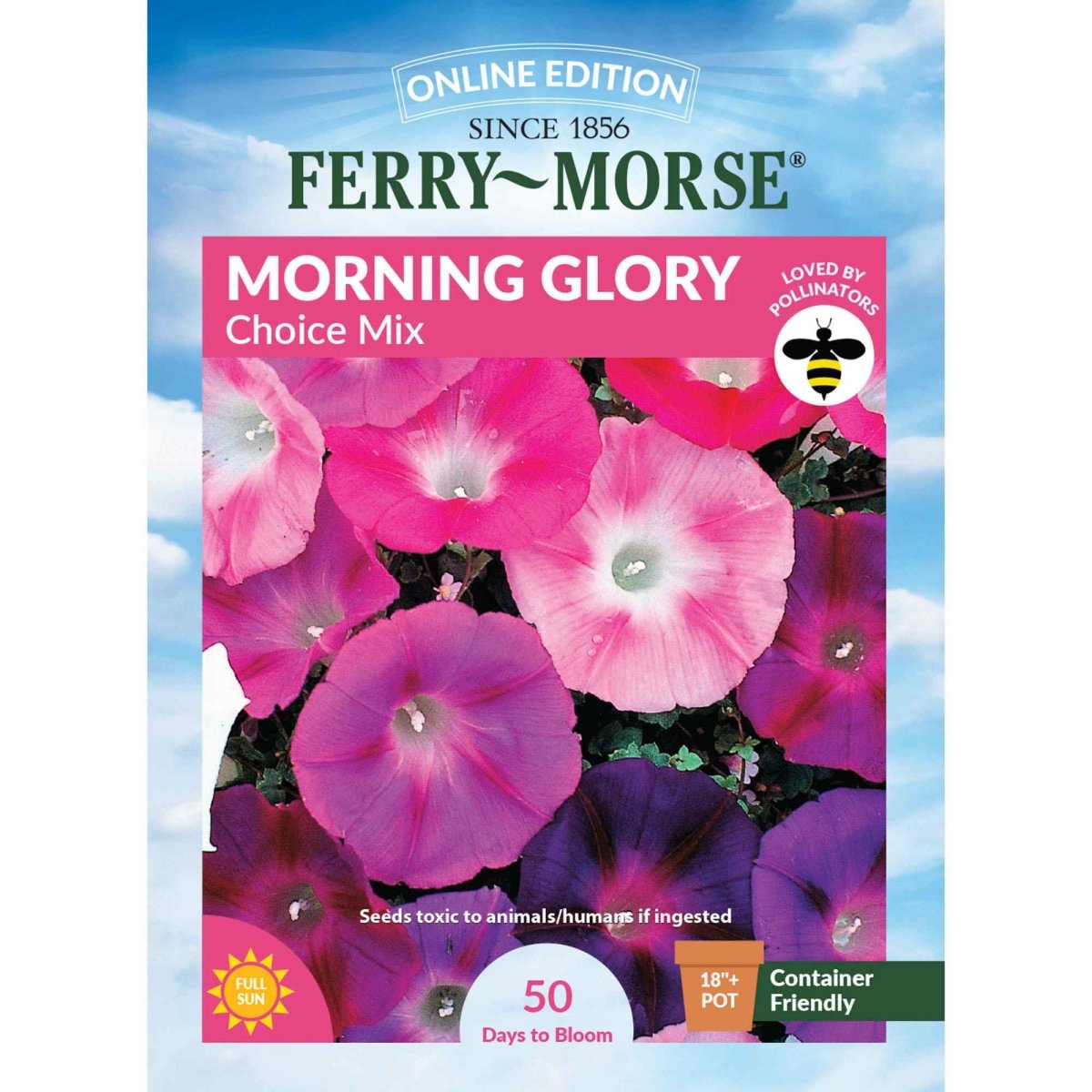 Morning Glory, Choice Mixed Colors Seeds | Easy to Grow Annual
