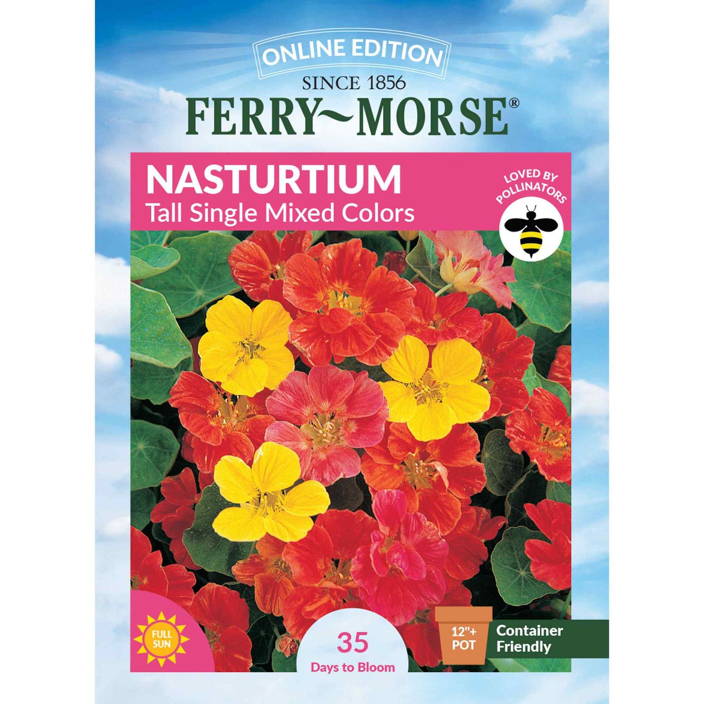 Nasturtium, Tall Single Mixed Colors Seeds Online Edition