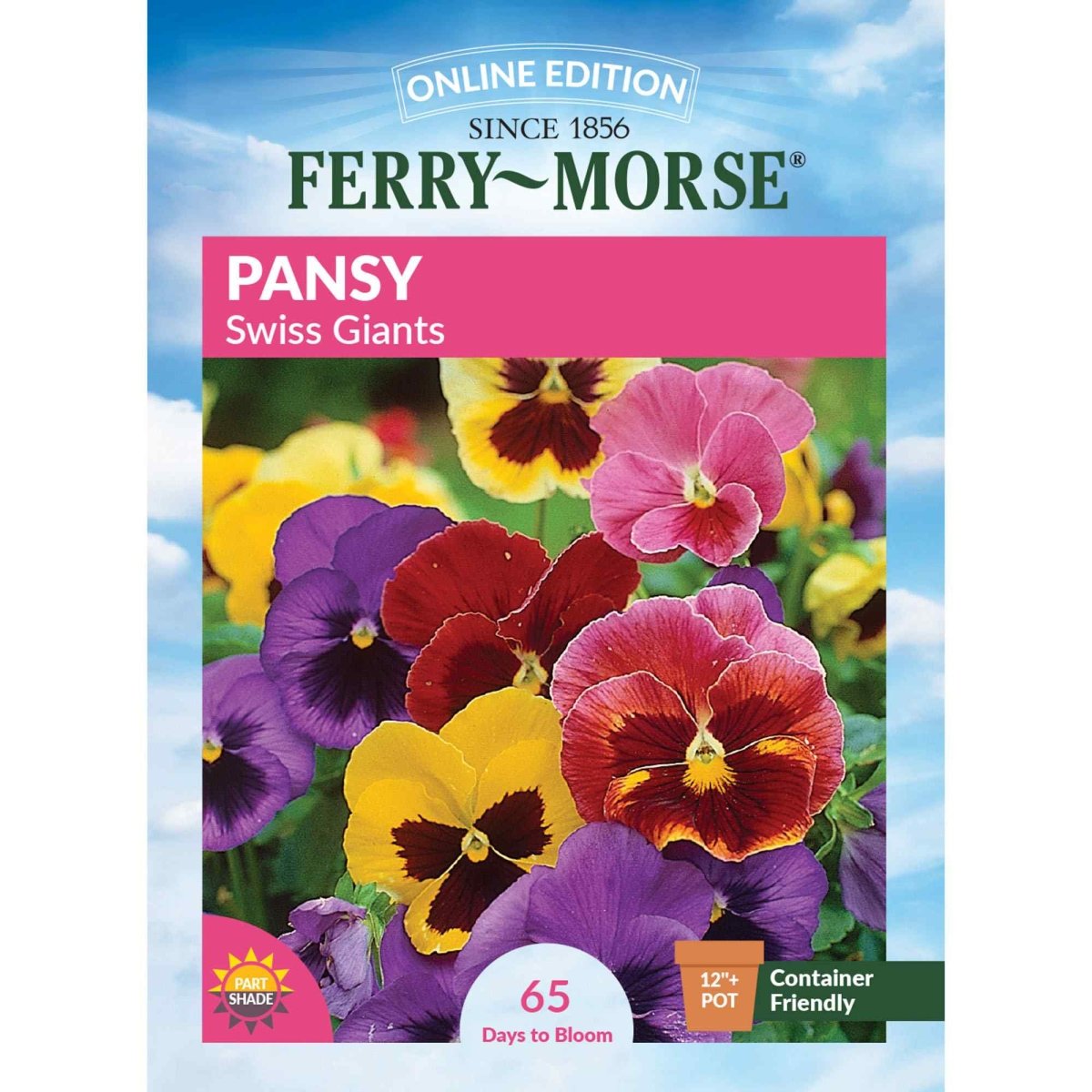 pansy from seed to flower Pansy, Swiss Giants Mixed Colors Seeds, 300mg