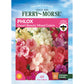 Phlox, Dwarf Beauty Seeds Online Edition