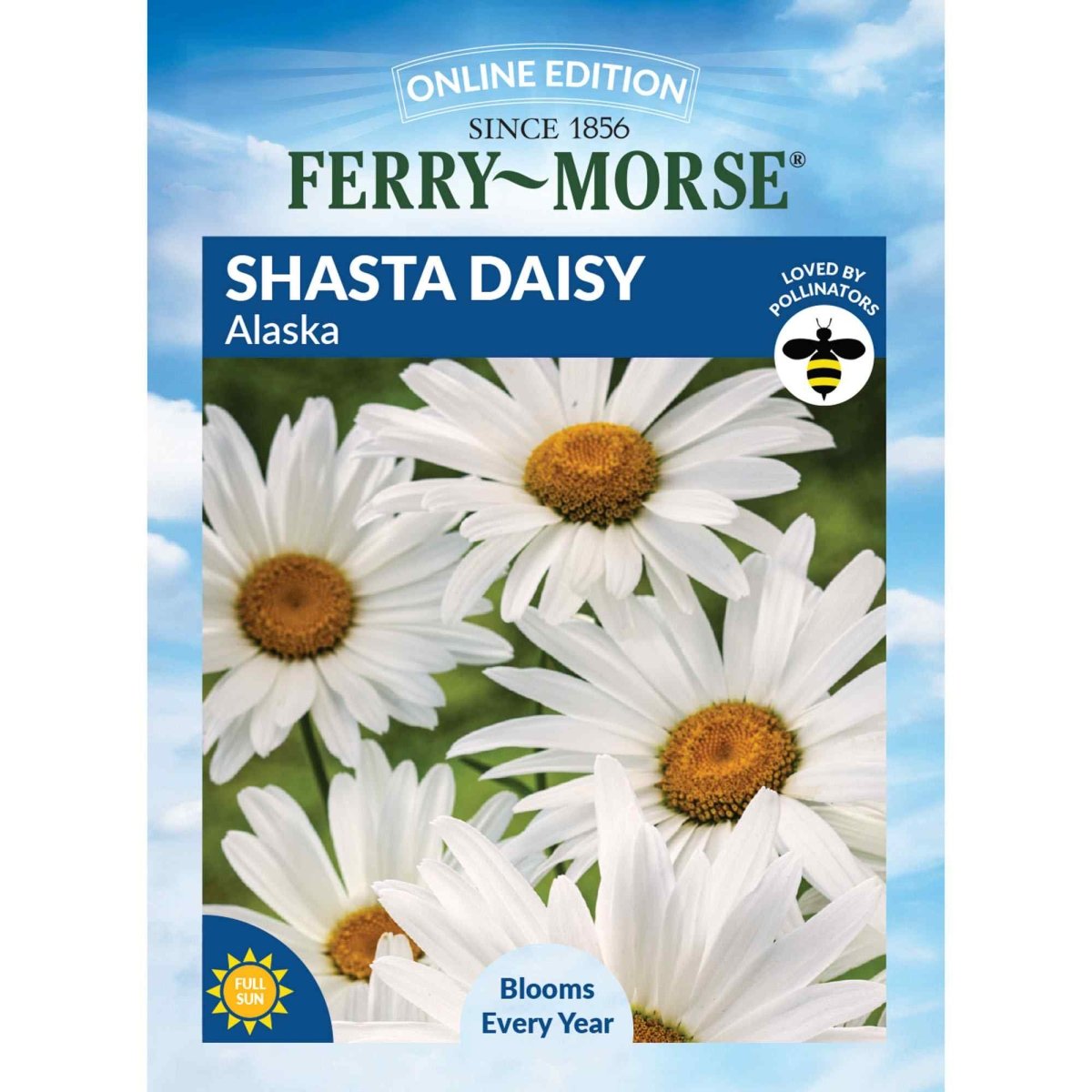 wildflower daisy seeds Shasta Daisy Alaska Seeds 300mg from Ferry-Morse Seeds
