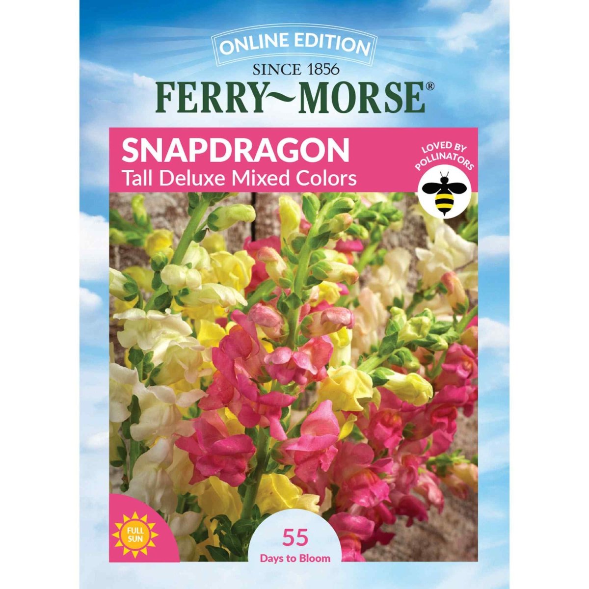 Snapdragon Tall Deluxe Mixed Colors Seeds | Garden Snapdragons