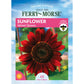 Sunflower, Velvet Queen Seeds Online Edition