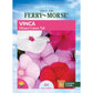 Vinca, Mixed Colors Seeds Online Edition