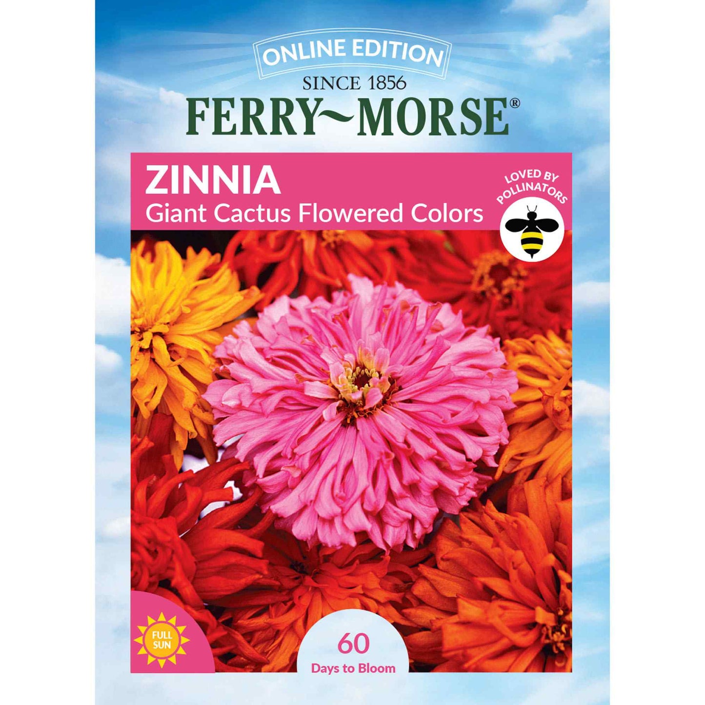 Zinnia, Giant Cactus Flowered Mixed Colors Seeds Online Edition