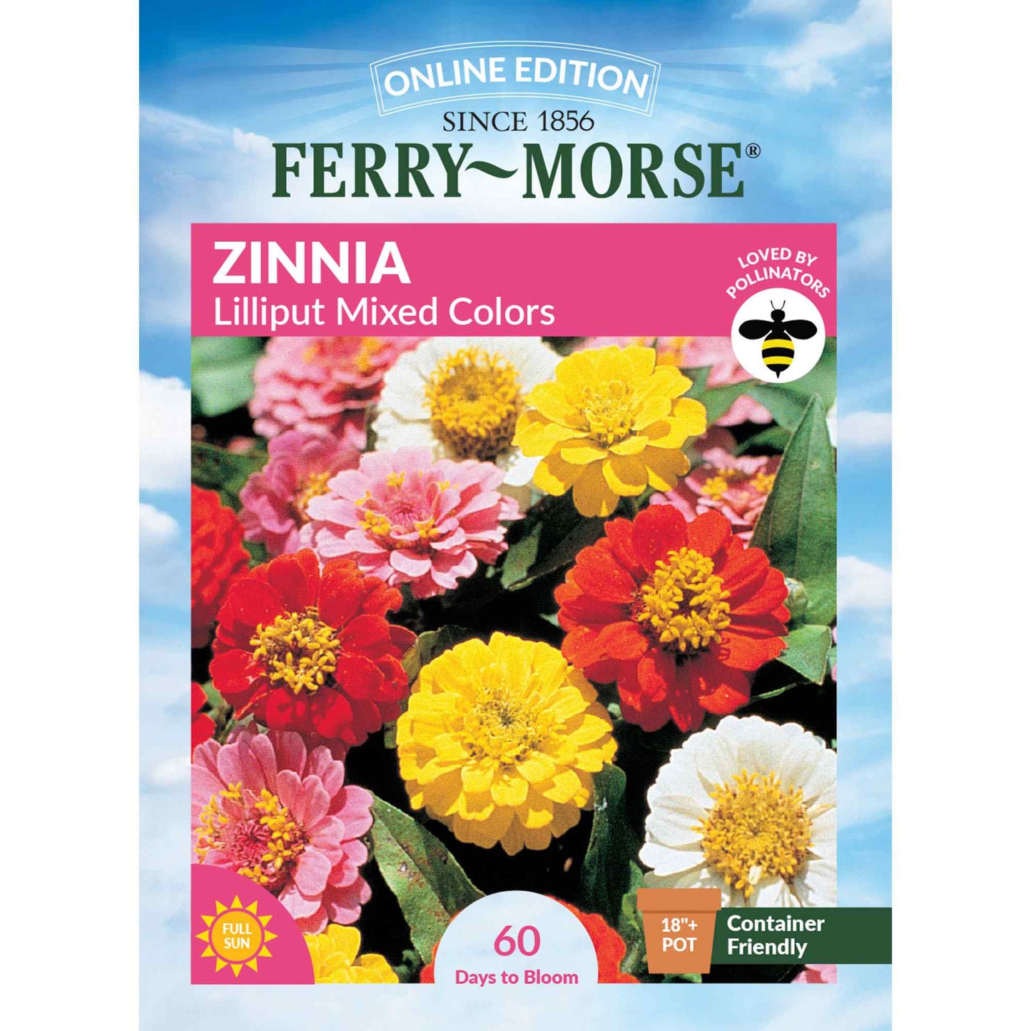 Zinnia, Lilliput Mixed Colors Seeds Online Edition