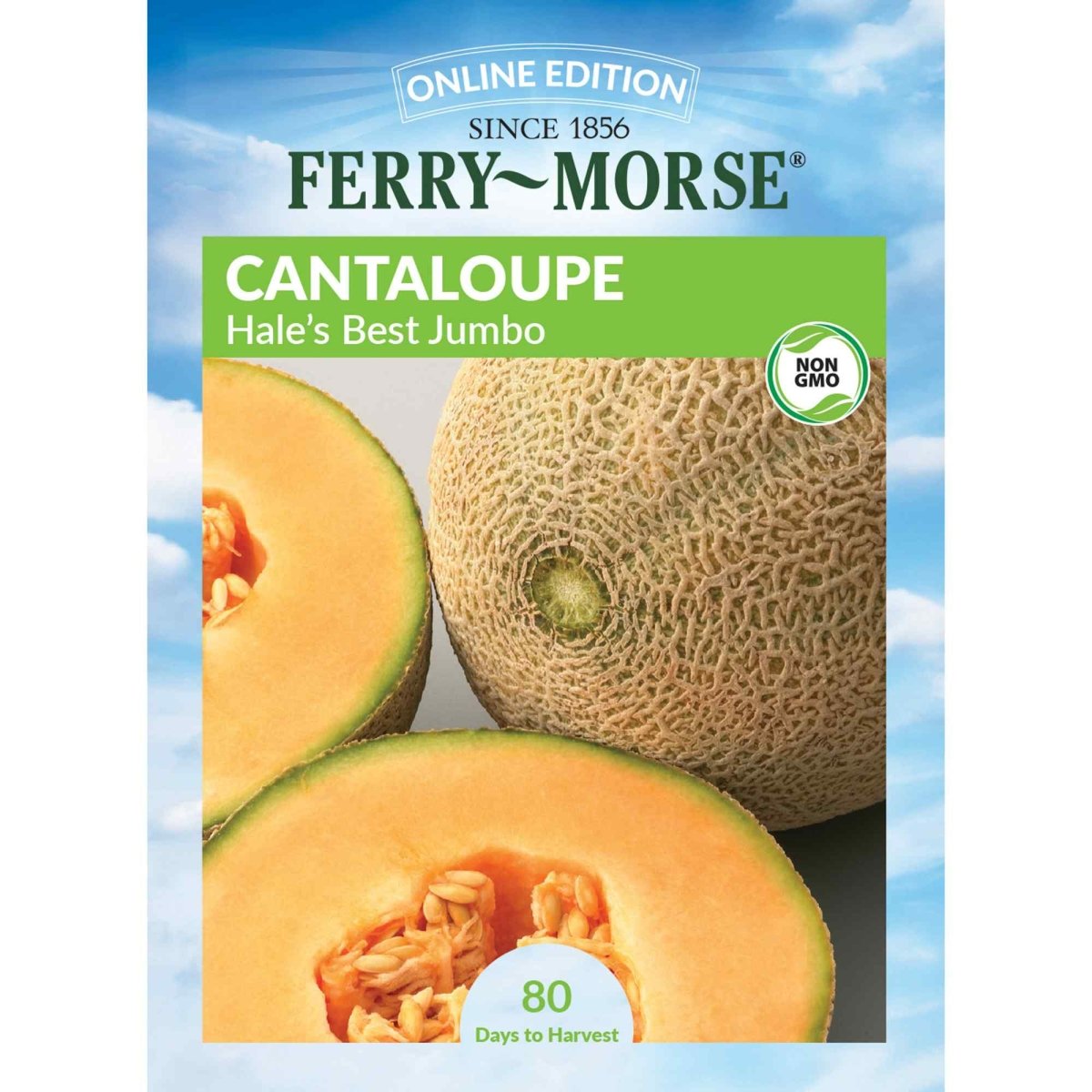 Cantaloupe, Hale's Best Jumbo Seeds | Fruit Garden | Ferry-Morse