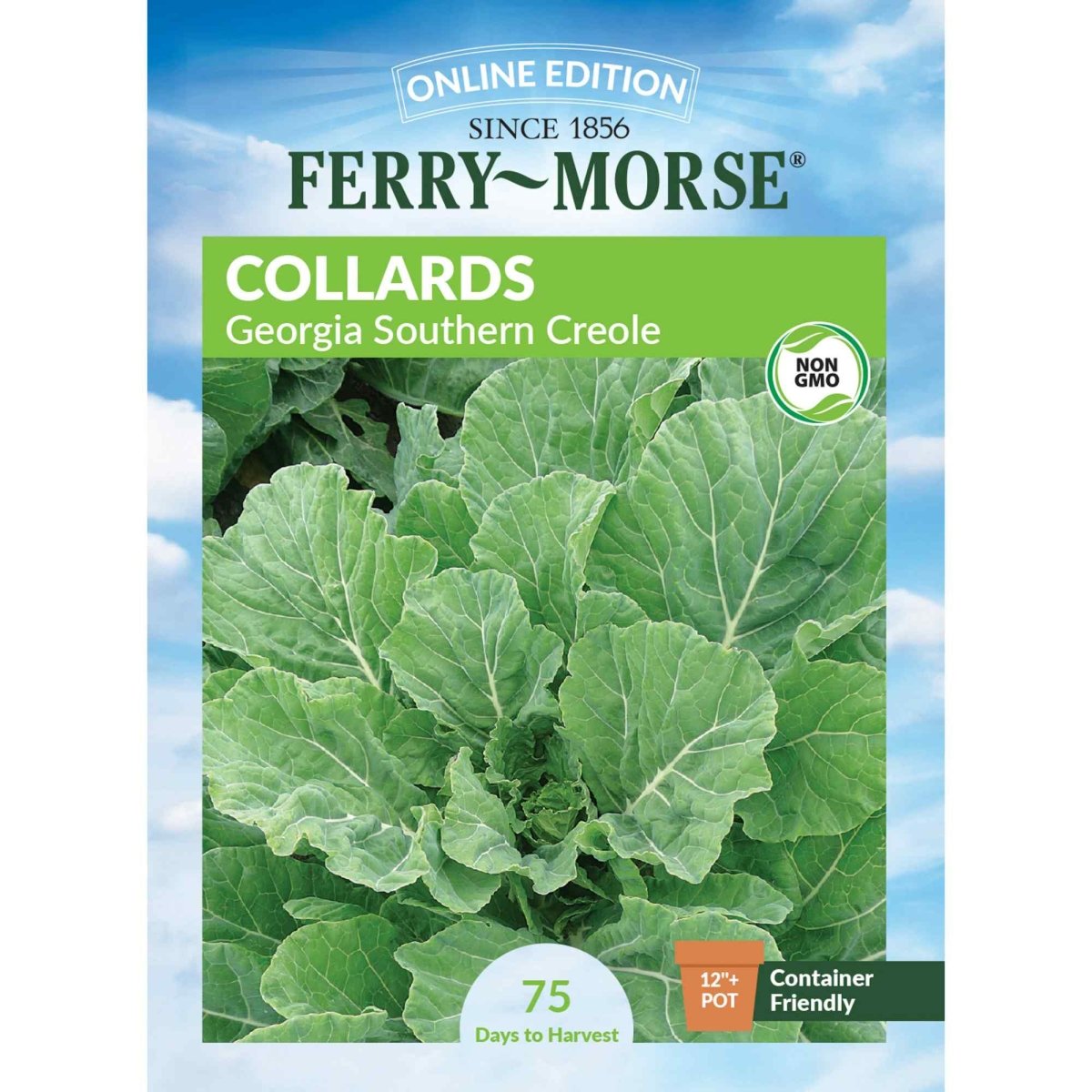 planting georgia collards seeds Collards, Georgia Southern Seeds, 3g