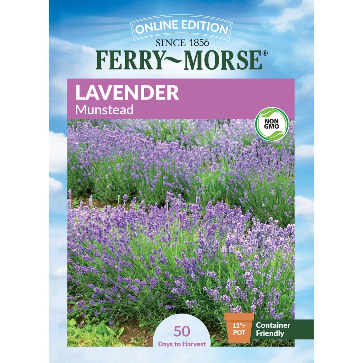 lavender plant seeds Lavender True Herb Seeds from Ferry-Morse Seeds