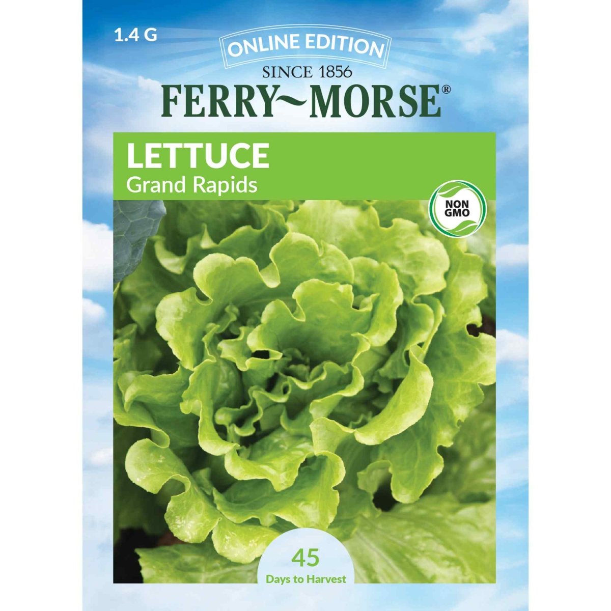 lettuce seed planting depth Lettuce, Grand Rapids Seeds, 1.4g