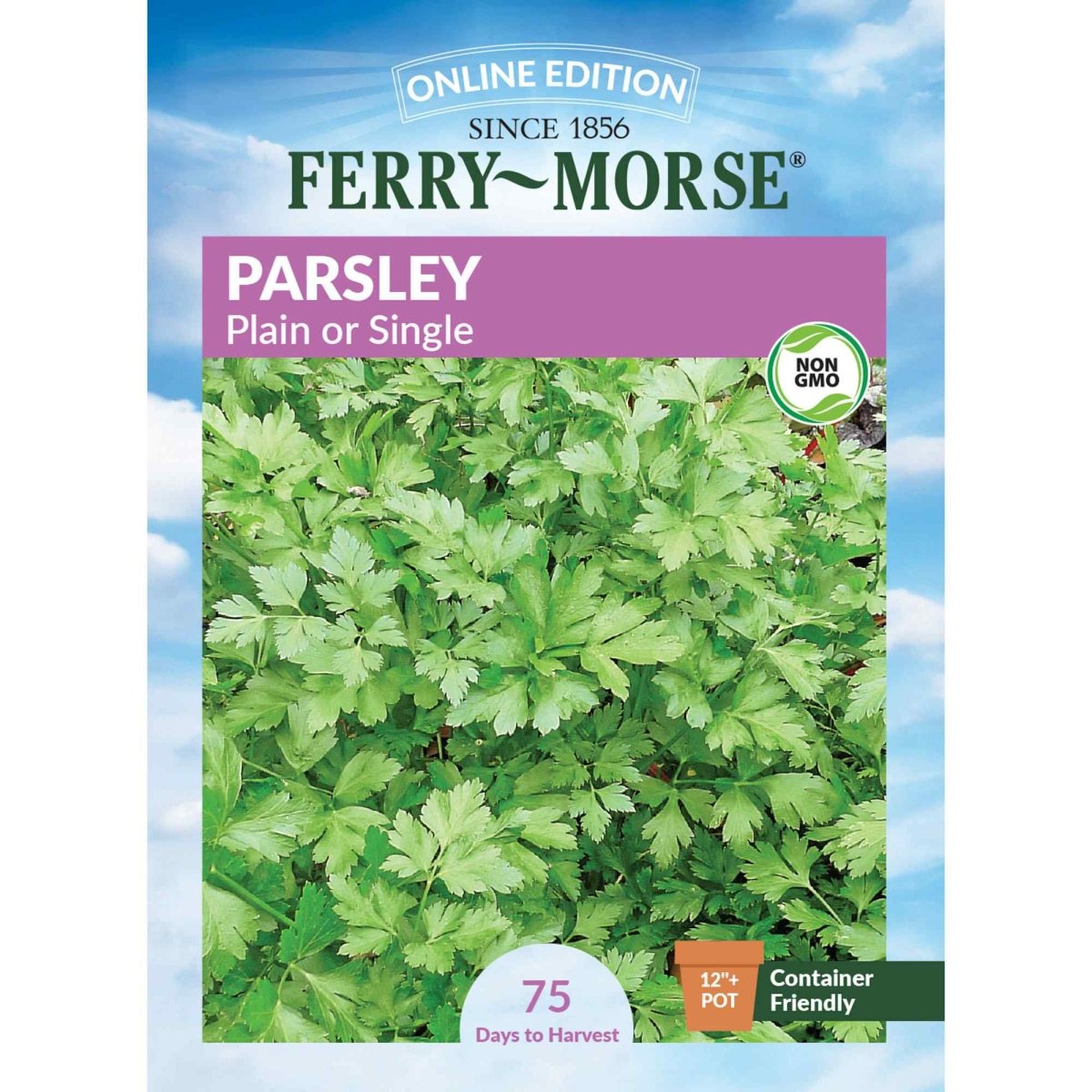 planting flat leaf parsley seeds Italian Parsley Seeds from Ferry-Morse Seeds