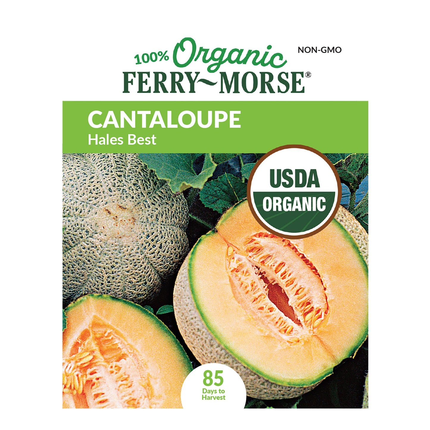 Cantaloupe, Hales Best Organic Seeds