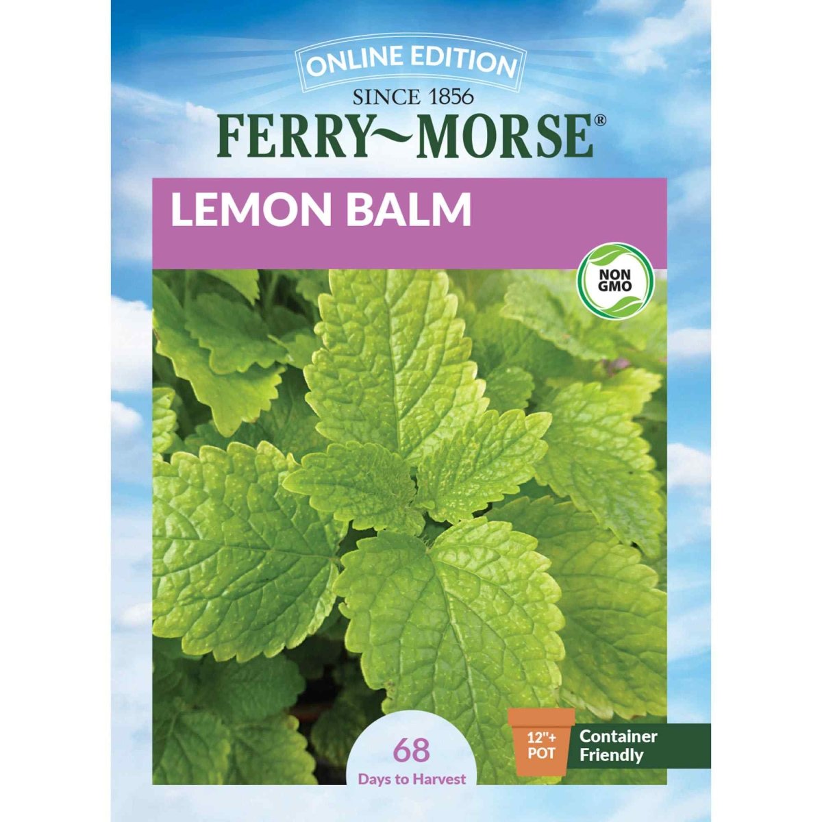 plant lemon balm seeds Lemon Balm Seeds | Aromatic Herb | Medicinal Herb
