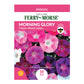 Morning Glory, Choice Mixed Colors Seeds