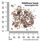Wildflower Hummingbird Mix Economy Seeds