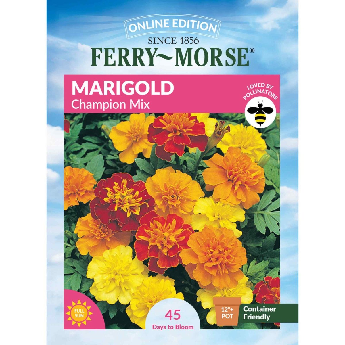 marigold mix seeds Marigold Champion Mix Seeds | Vibrant Marigold Flowers