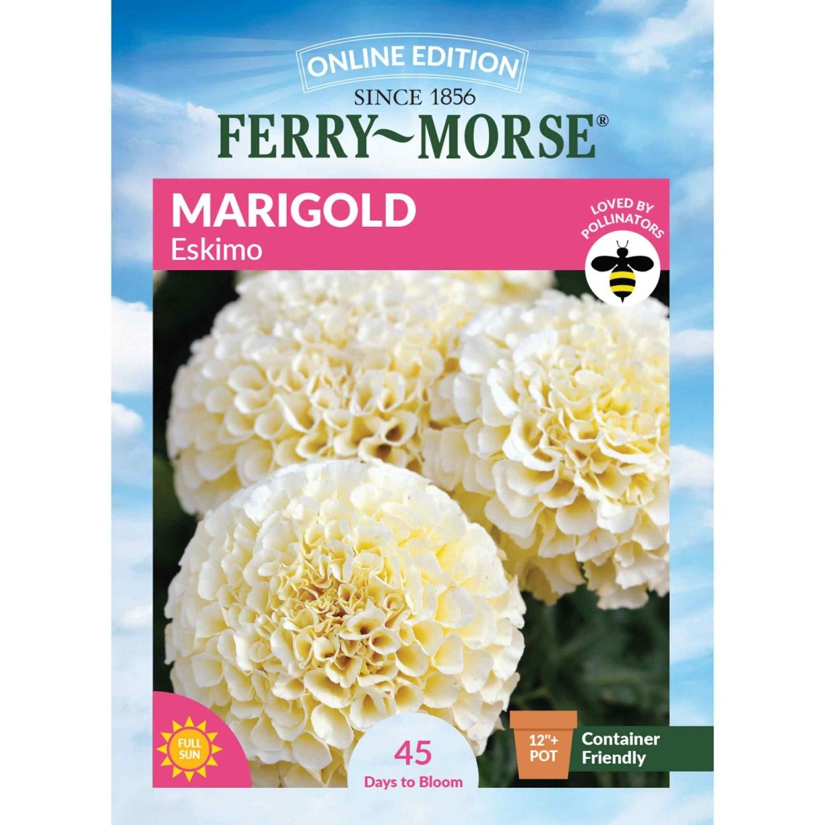 sow marigold seeds Ferry-Morse Online Edition 300mg Marigold Eskimo Seeds, Full Sun