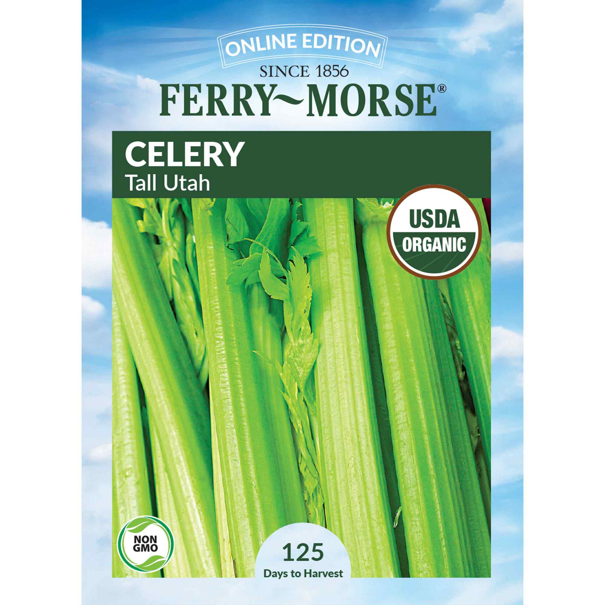 Celery, Tall Utah Organic Seeds | Organic Celery | Vegetable